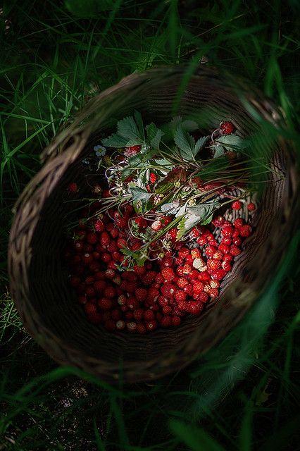 Garden's Whisper: Luscious Berry Selection