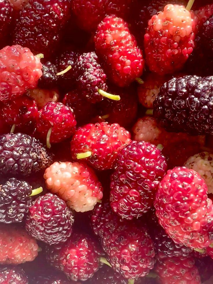 Sun-kissed Symphony: Artisanal Berry Assortment